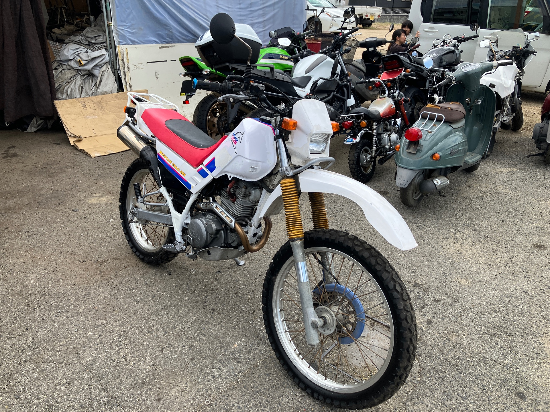 Yamaha ｾﾛｰ225ｾﾙ