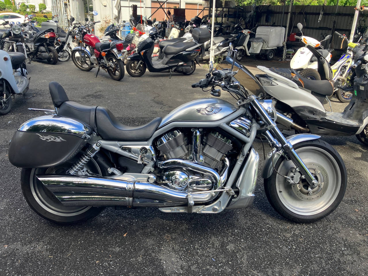 HD V-ROD VRSCA1130