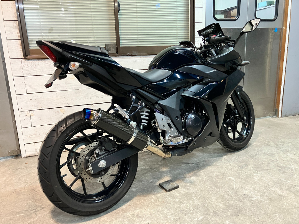 Suzuki GSX250R — фото 6