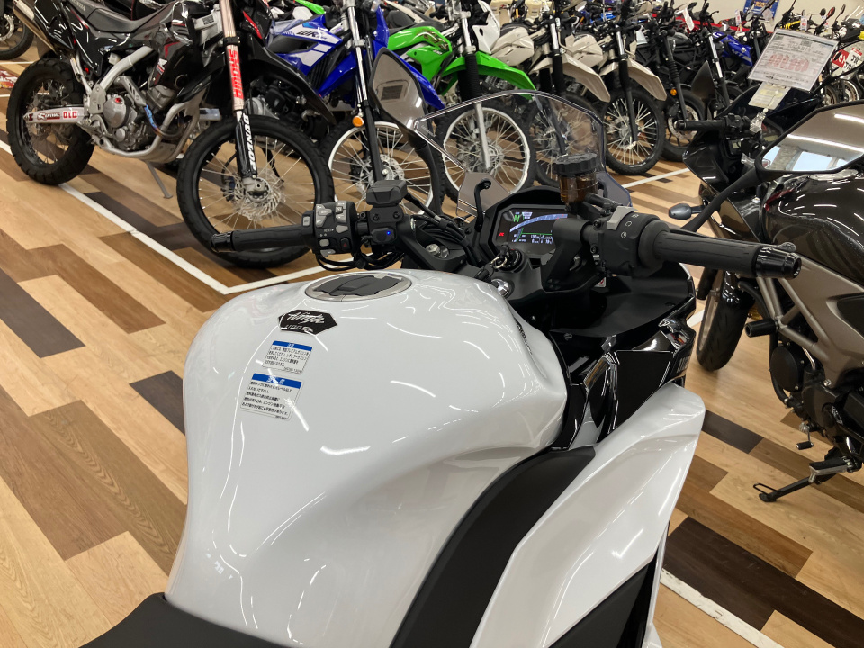 Kawasaki NINJA 1100SX — фото 4