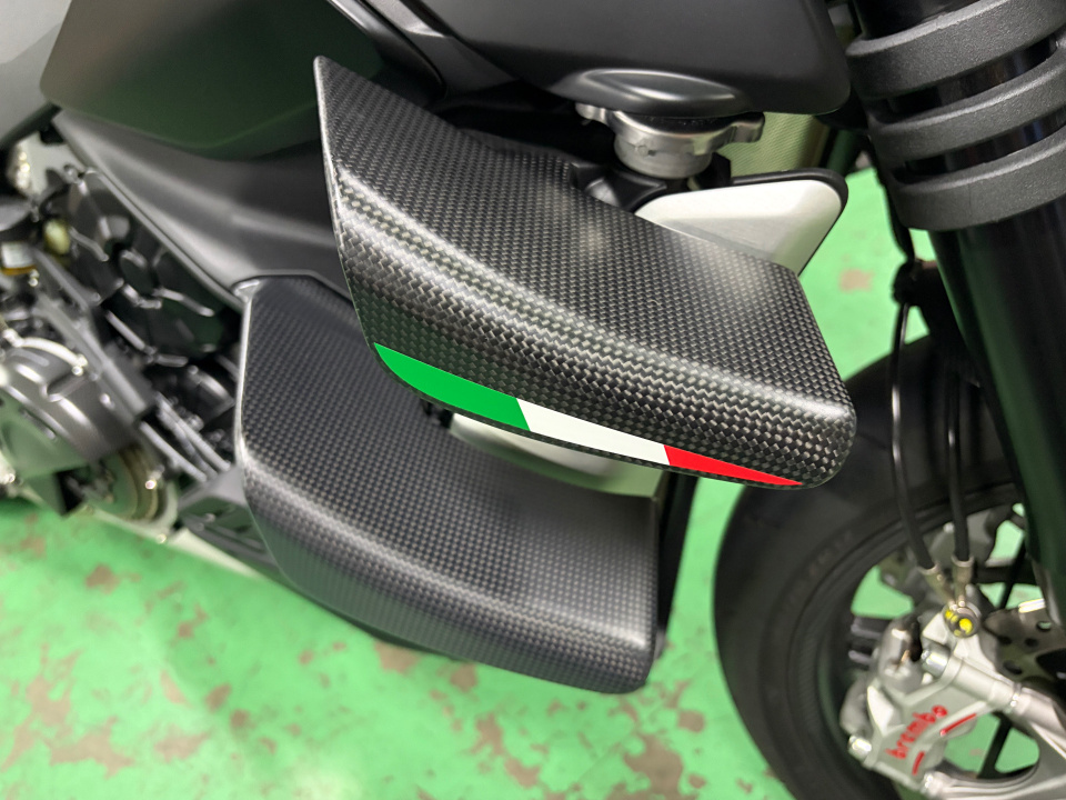 Ducati STREETFIGHTER V4 — фото 13