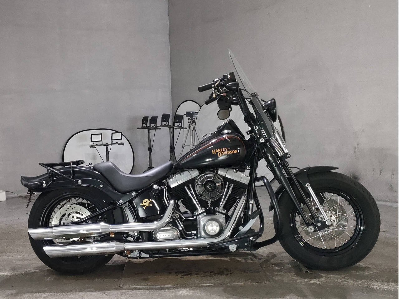 HD CROSS BONES FLSTSB1580