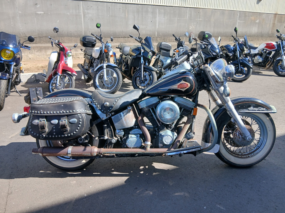 HD HERITAGE FLSTC