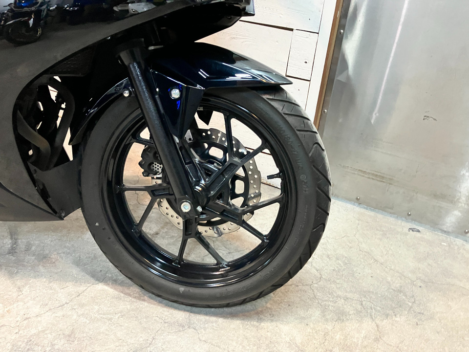 Suzuki GSX250R — фото 20