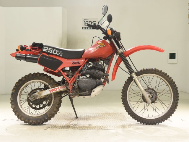Honda XR250