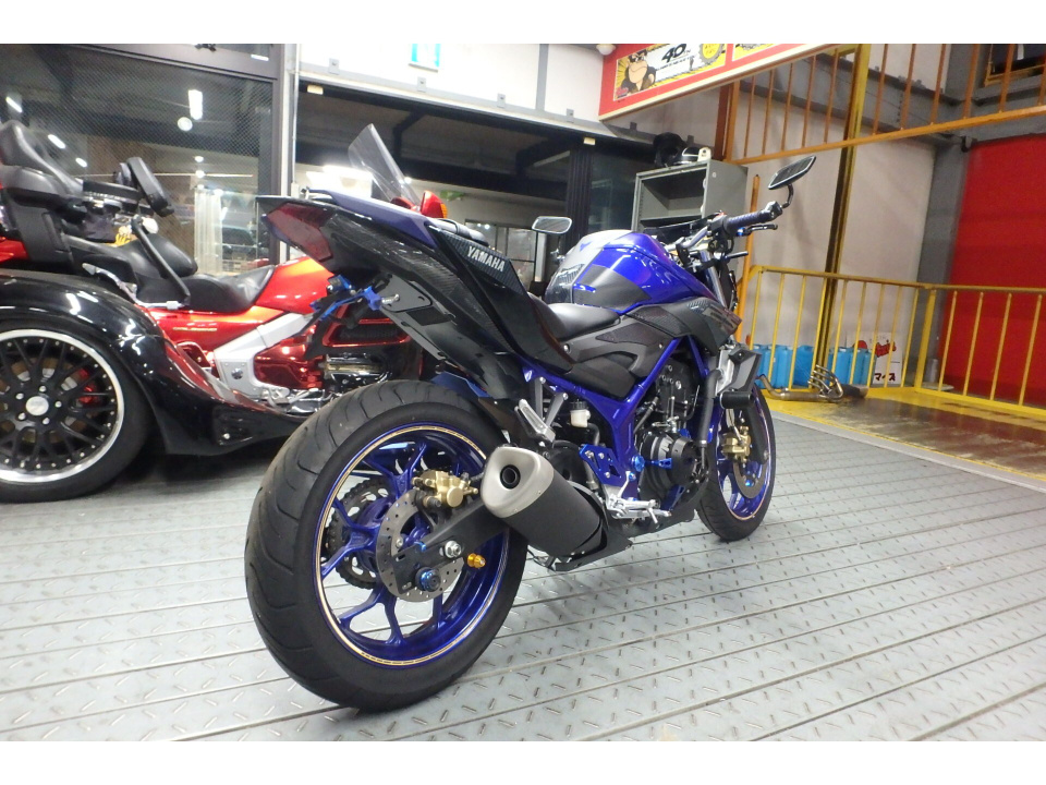 Yamaha MT-25 — фото 7