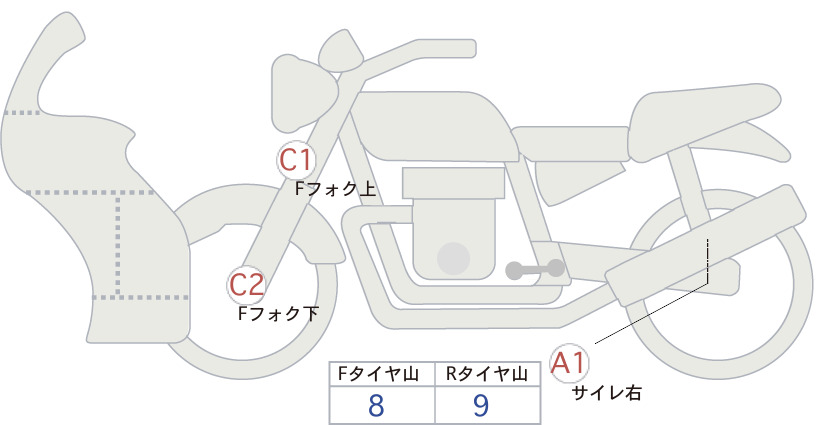 Kawasaki NINJA250