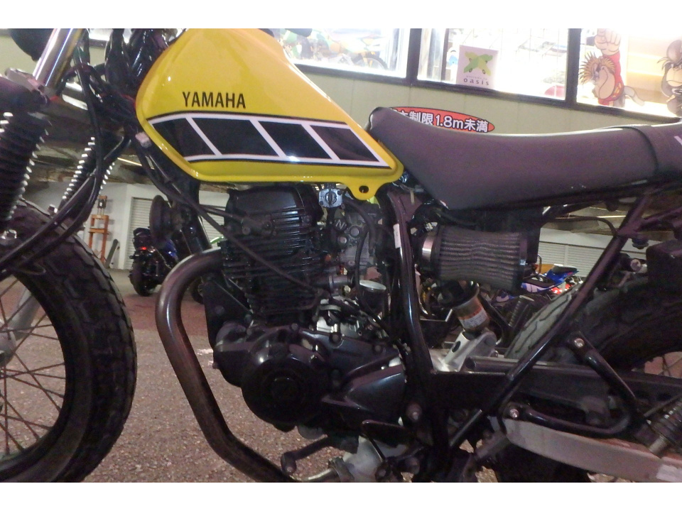 Yamaha TW200 — фото 14