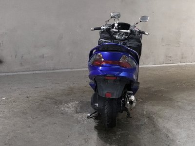 Suzuki SKYWEAVE 250SS — фото 4