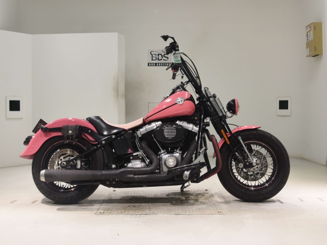 HD CROSS BONES FLSTSB1580