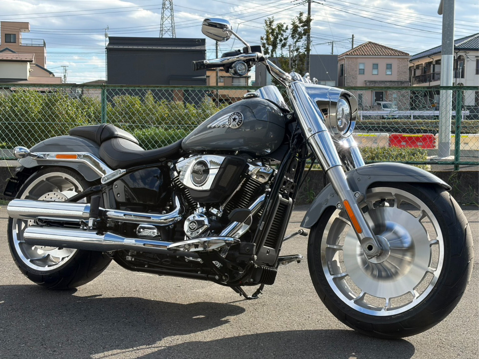 HD FATBOY FLFB1745
