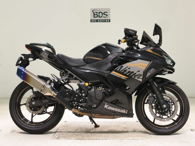 Kawasaki NINJA250