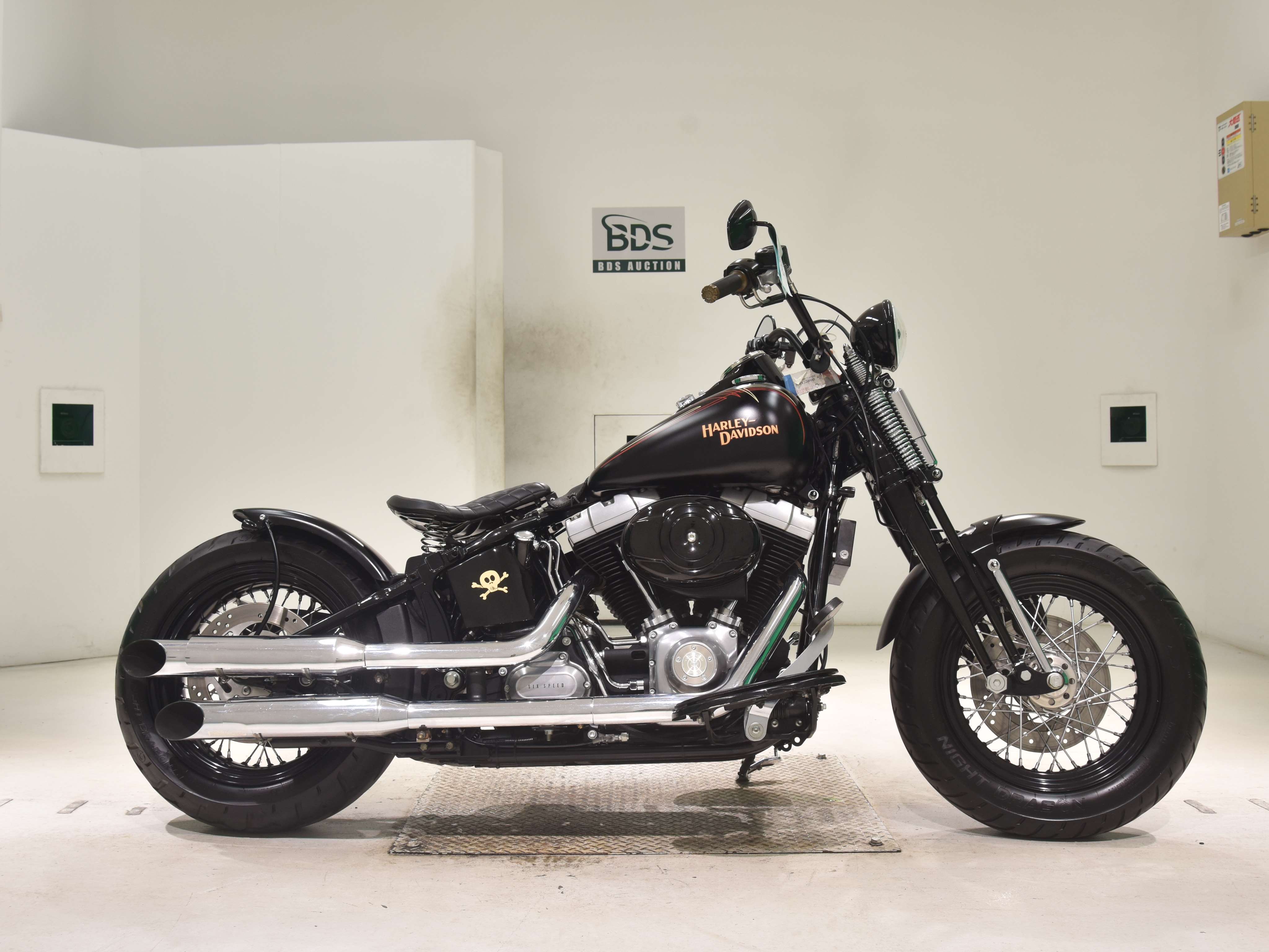 HD CROSS BONES FLSTSB1580