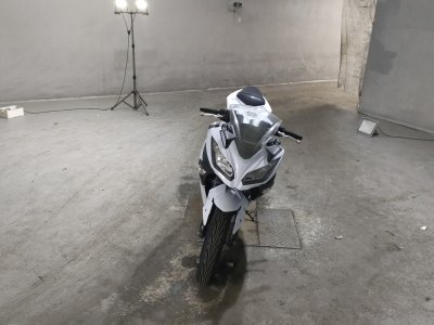 Kawasaki NINJA250 — фото 3