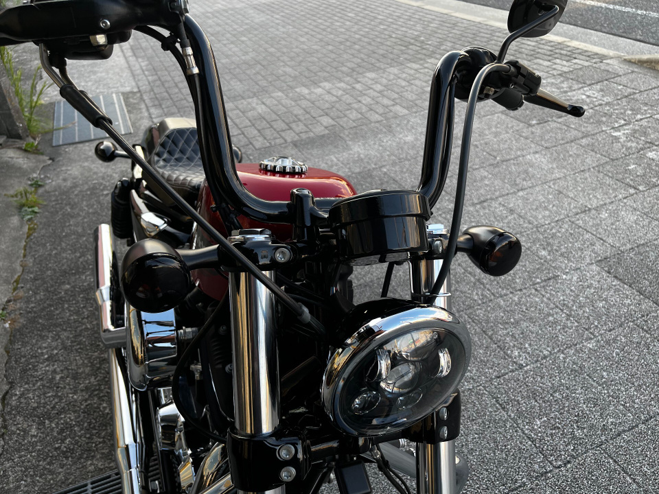 HD SPORTSTER FORTY-EIGHT XL1200XS — фото 6