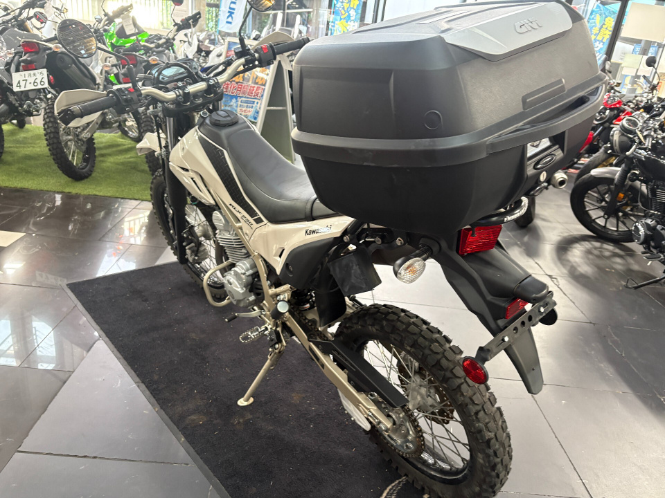 Kawasaki KLX230 SHERPA — фото 6