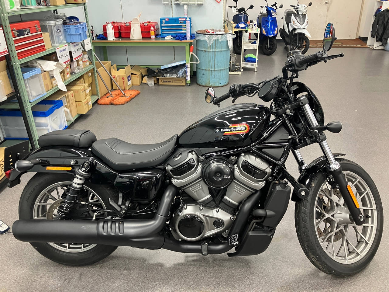 HD RH975S NIGHT STAR