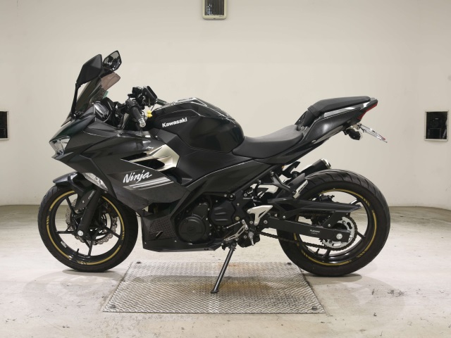 Kawasaki NINJA250 — фото 2