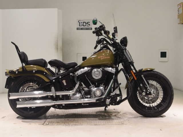 HD CROSS BONES FLSTSB1580