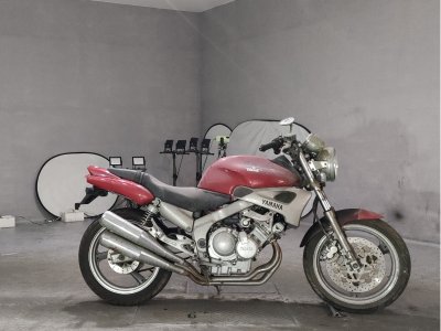 Yamaha ZEAL FZX250