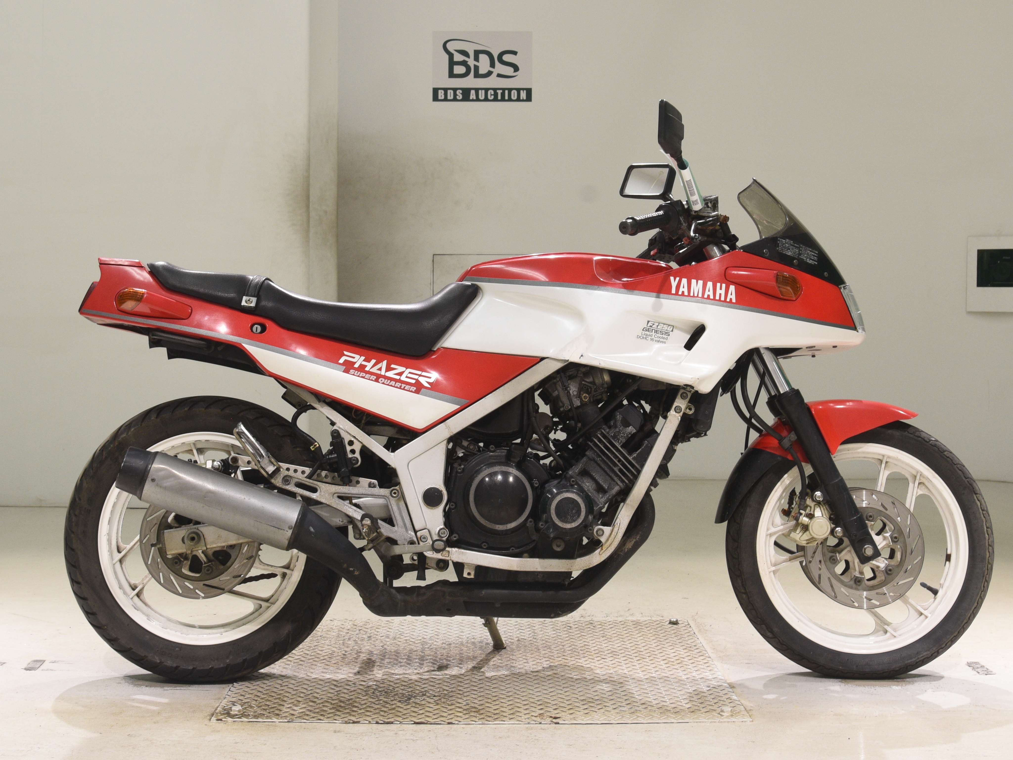 Yamaha FZ250 FAZER