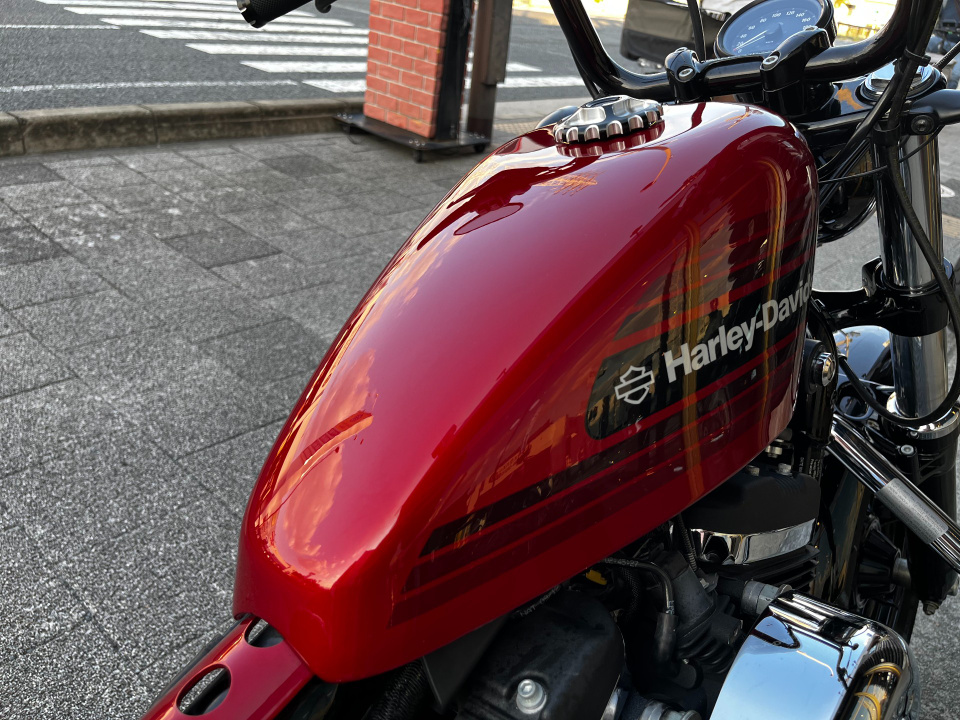 HD SPORTSTER FORTY-EIGHT XL1200XS — фото 19