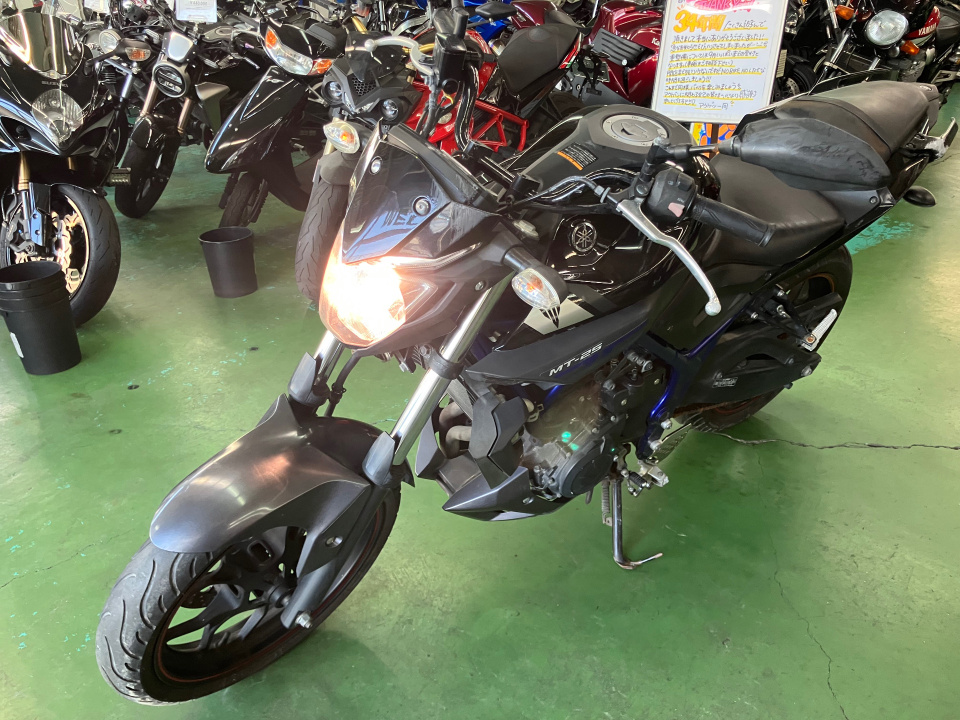 Yamaha MT-25 — фото 5