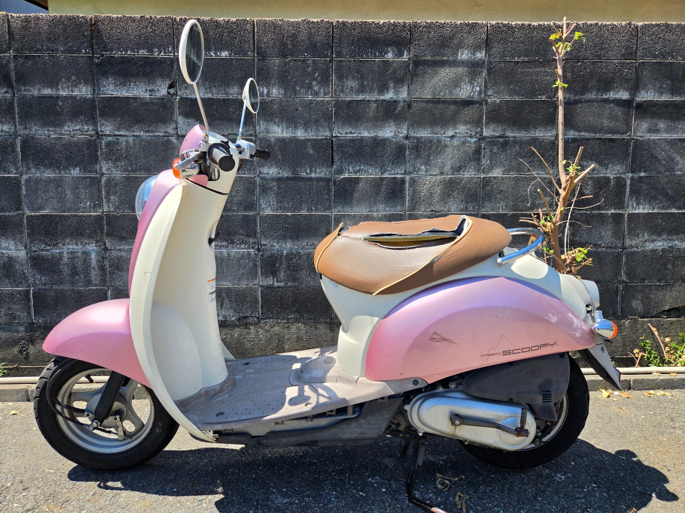 Honda SCOOPY50