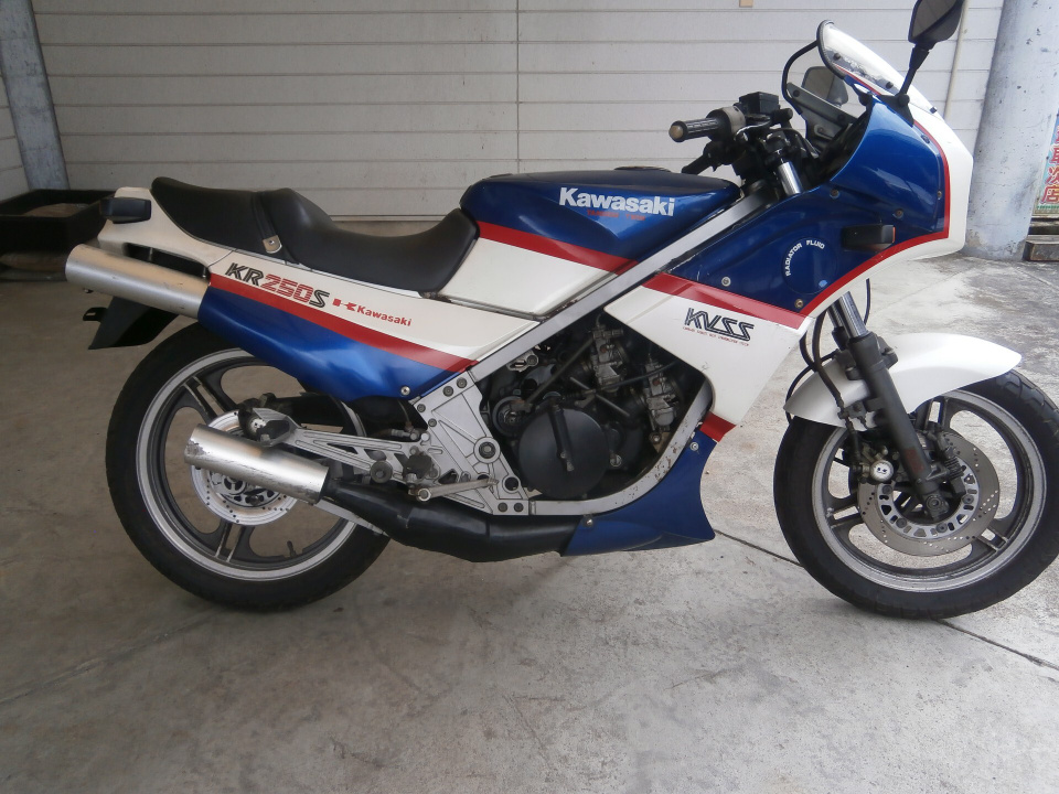 Kawasaki KR250S