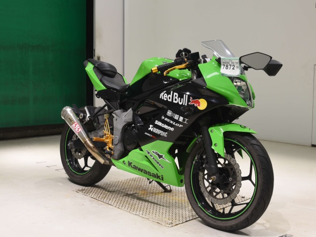 Kawasaki NINJA250 — фото 3