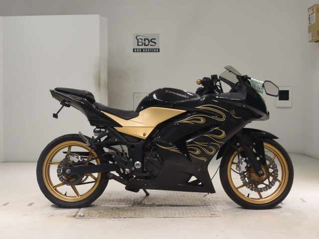 Kawasaki NINJA250R