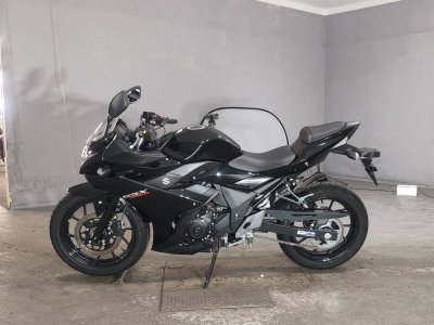 Suzuki GSX250R — фото 2
