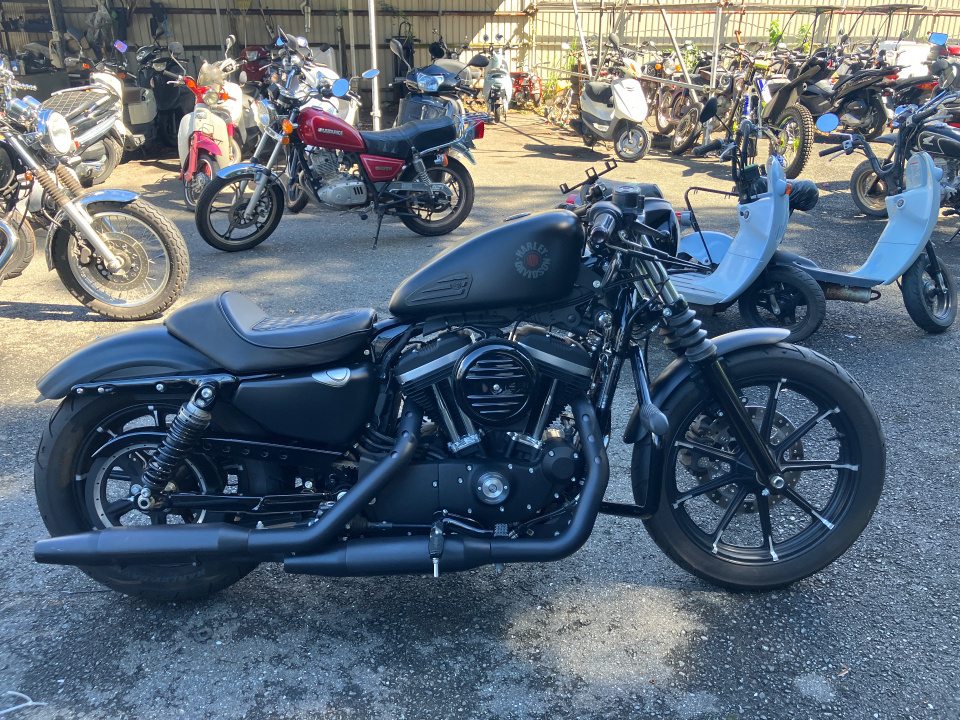 HD SPORTSTER IRON XL883N