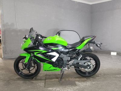 Kawasaki NINJA250 — фото 2