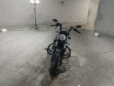 HD SPORTSTER FORTY-EIGHT XL1200X — фото 3