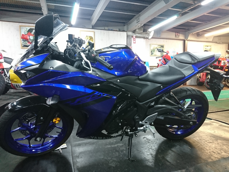 Yamaha MODEL: YZF-R25 ABS — фото 7