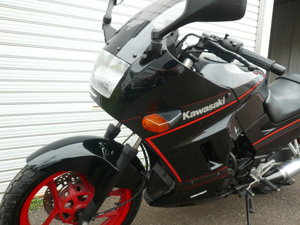 Kawasaki GPX250R — фото 4