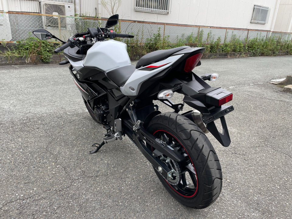 Suzuki GSX250R — фото 5