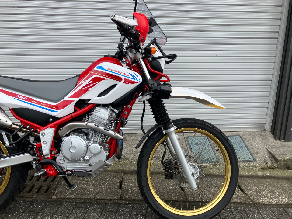Yamaha ｾﾛｰ250 ﾌｧｲﾅﾙED — фото 4