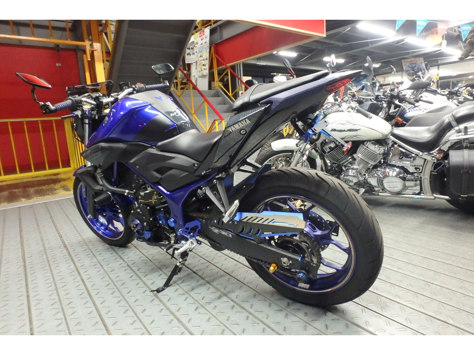 Yamaha MT-25 — фото 11
