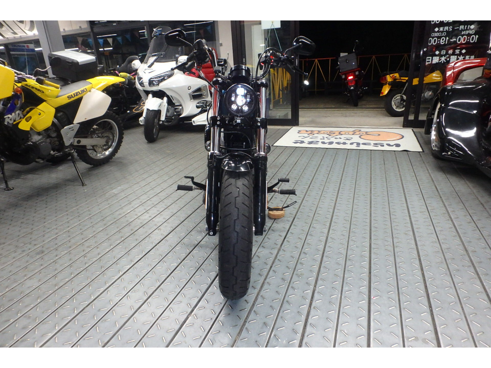 HD SPORTSTER FORTY-EIGHT XL1200X — фото 2