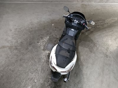Honda FORZA Z — фото 6