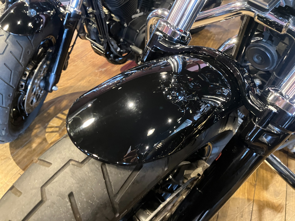 HD SPORTSTER FORTY-EIGHT XL1200XS — фото 13