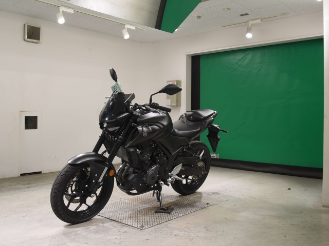 Yamaha MT-25 — фото 4