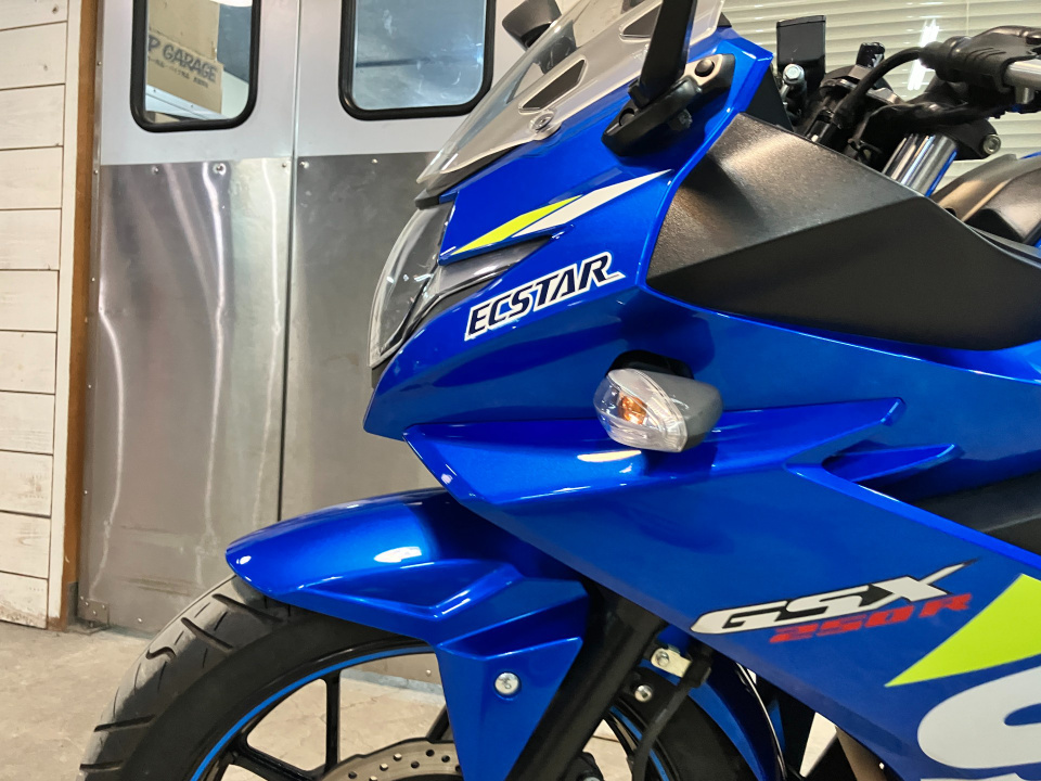 Suzuki GSX250R — фото 24