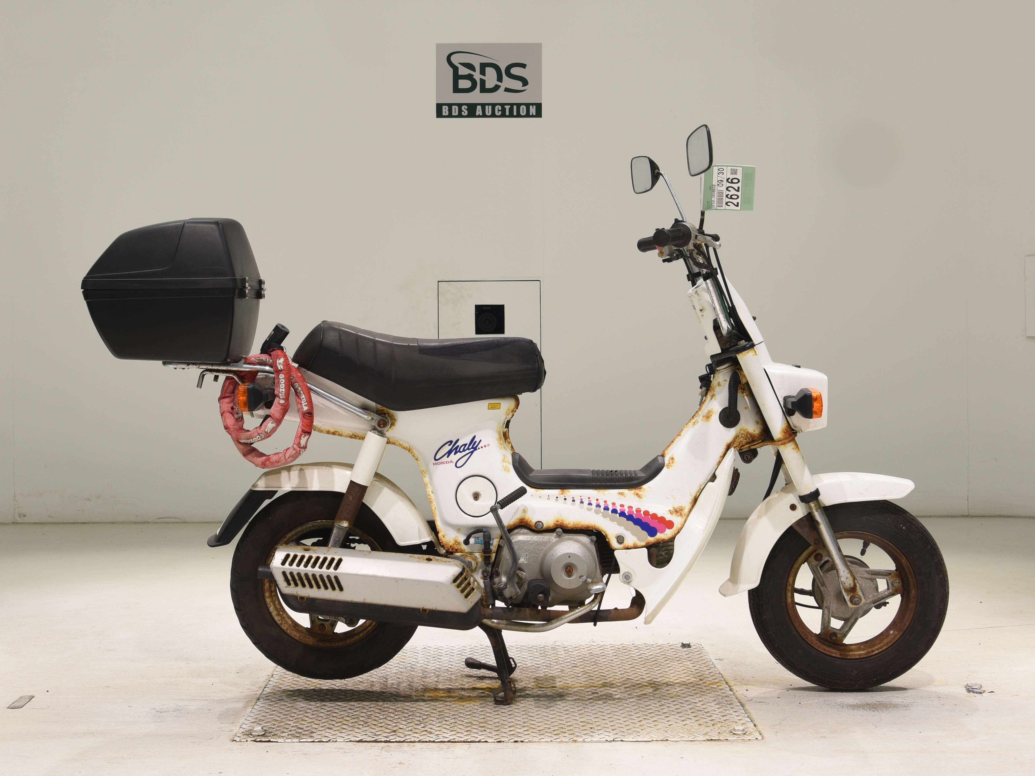Honda CHALY50