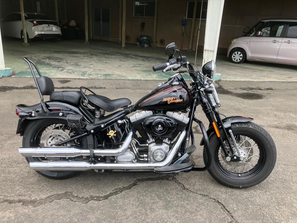 HD CROSS BONES FLSTSB1580
