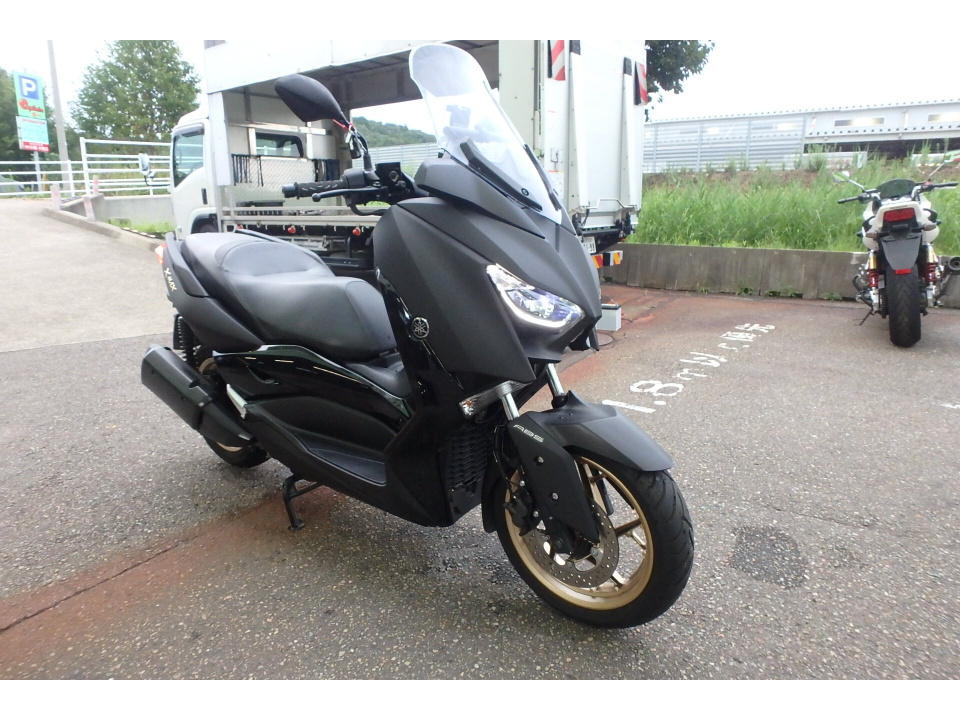 Yamaha X-MAX250 — фото 3