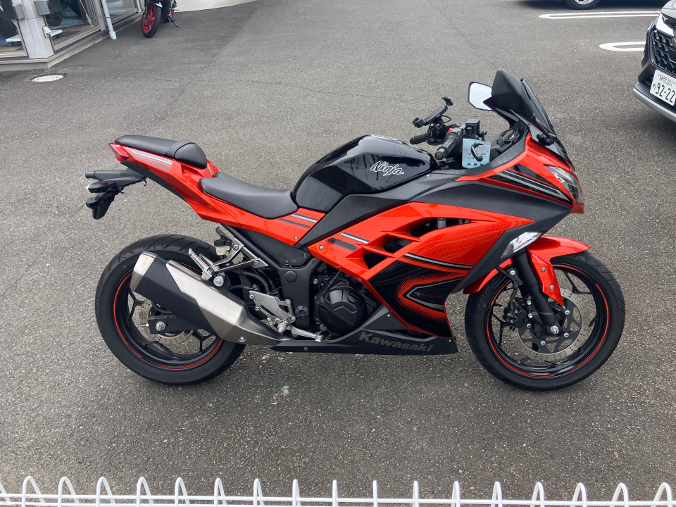 Kawasaki NINJA250R