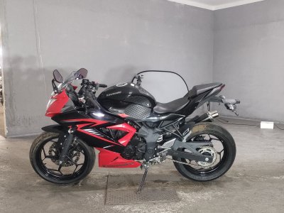 Kawasaki NINJA250 — фото 2